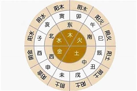 如何看八字五行|怎么看自己的八字属性？